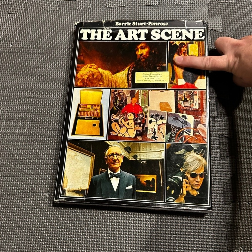 The Art Scene Barrie Sturt-Penrose 1969 Vintage Hardcover Art History Hamlyn